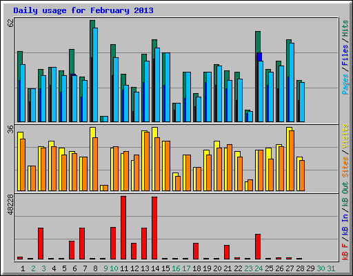 Daily usage for February 2013