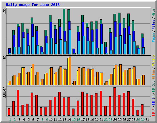 Daily usage for June 2013