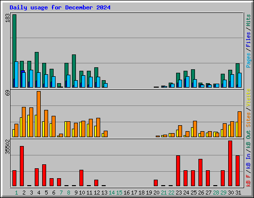 Daily usage for December 2024