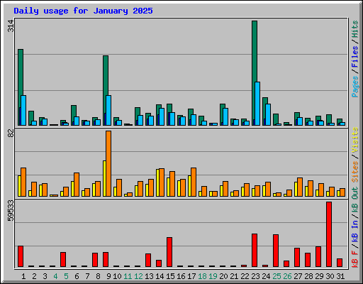 Daily usage for January 2025