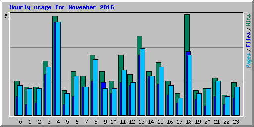 Hourly usage for November 2016