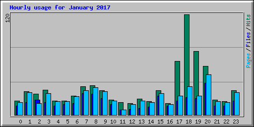 Hourly usage for January 2017