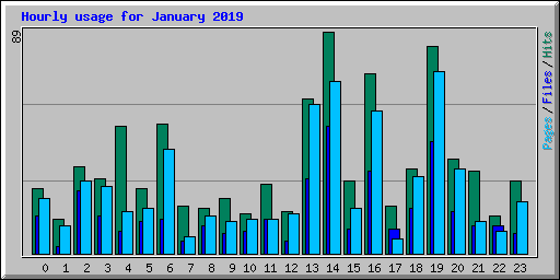 Hourly usage for January 2019