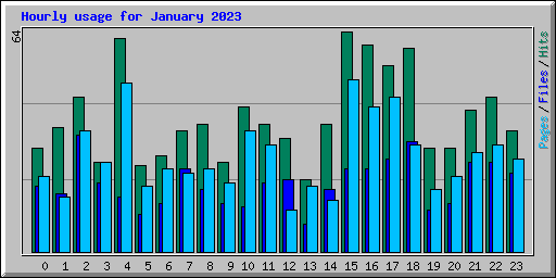 Hourly usage for January 2023