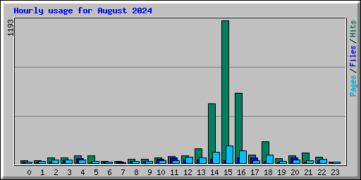 Hourly usage for August 2024