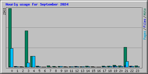 Hourly usage for September 2024