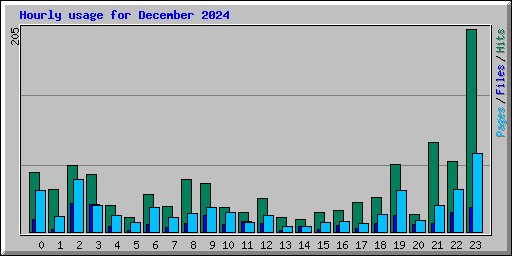 Hourly usage for December 2024