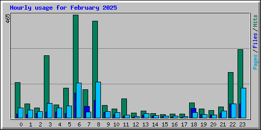 Hourly usage for February 2025
