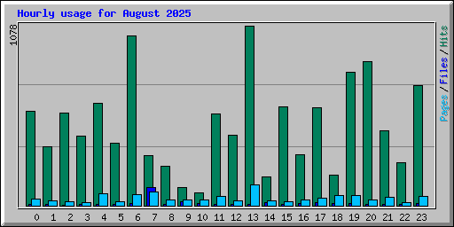 Hourly usage for August 2025