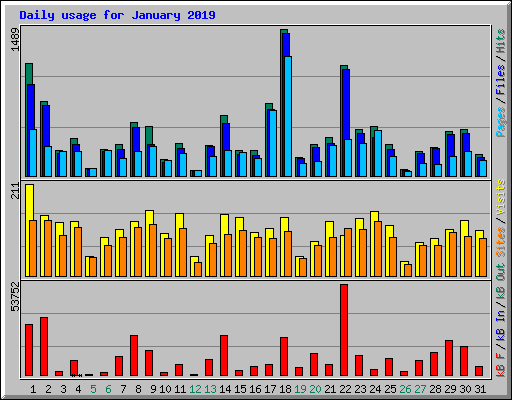 Daily usage for January 2019