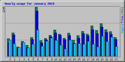 Hourly usage for January 2019