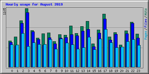 Hourly usage for August 2019