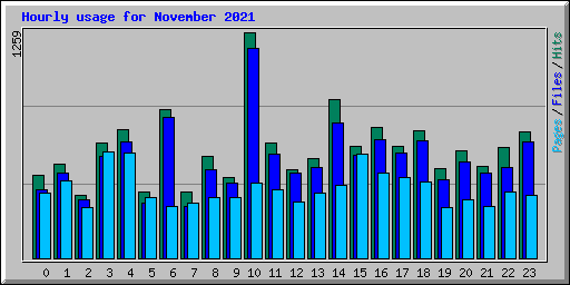 Hourly usage for November 2021