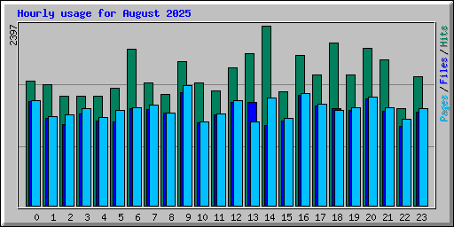Hourly usage for August 2025
